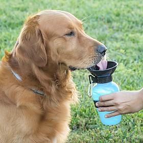 Bebedero portátil para perros