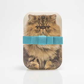 Bento de bambú con gato gordo estampado