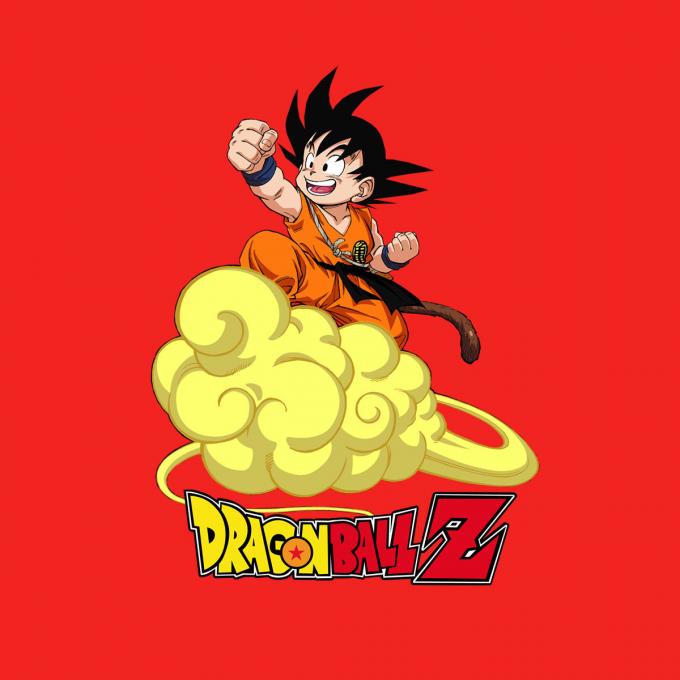 Camiseta Dragon Ball Z. Goku