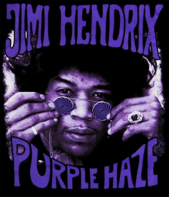 T-shirt Jimi Hendrix Are You Experienced Purple Haze - Homme - Noir - Marque Bitcruncher - Neuf Avec Étiquettes