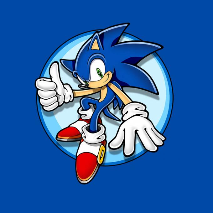 Camiseta Sonic the Hedgehog. Saludo Ok