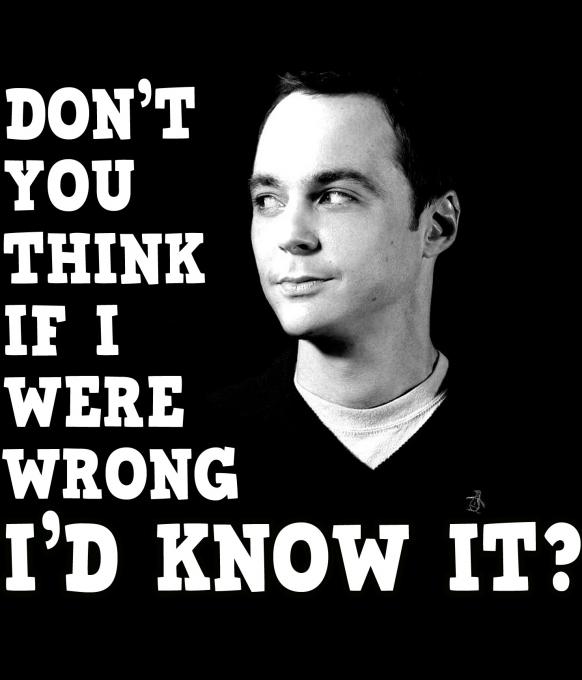 Camiseta The Big Bang Theory. Sheldon Cooper