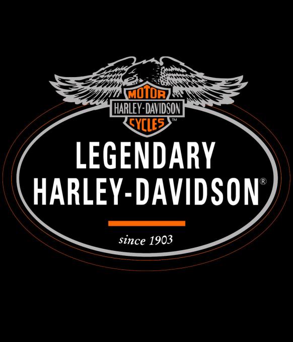 Camiseta chica Harley Davidson. Logo águila