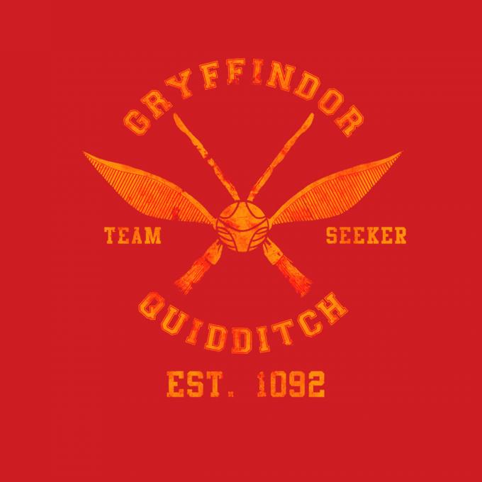 Camiseta chica Harry Potter. Gryffindor Quidditch