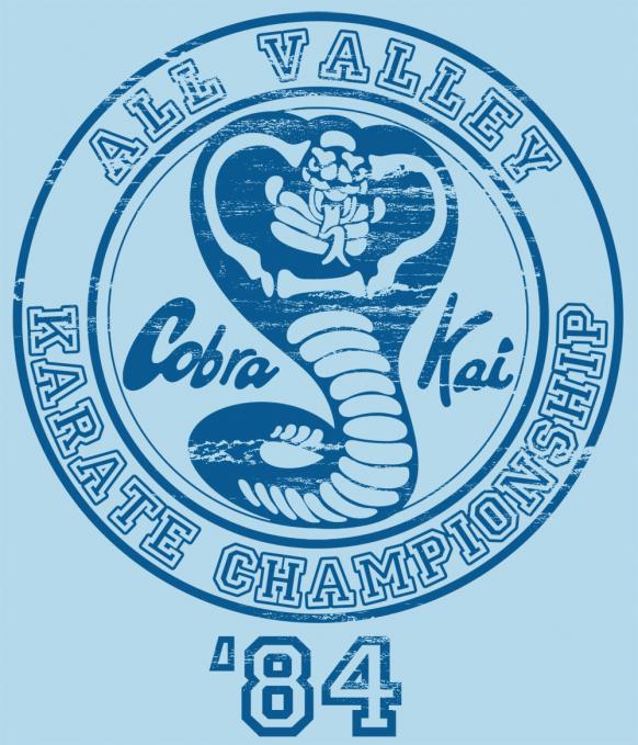 Camiseta chica Karate Kid. Karate Championship 1984