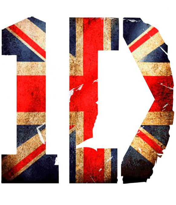 Camiseta chica One Direction. Bandera