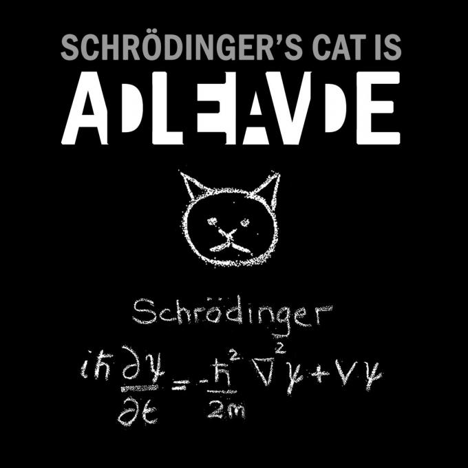 Camiseta chica Paradoja del Gato de Schrödinger. Vivo y muerto