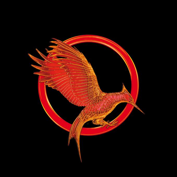 Camiseta chica The Hunger Games (Los Juegos del hambre). Catching Fire