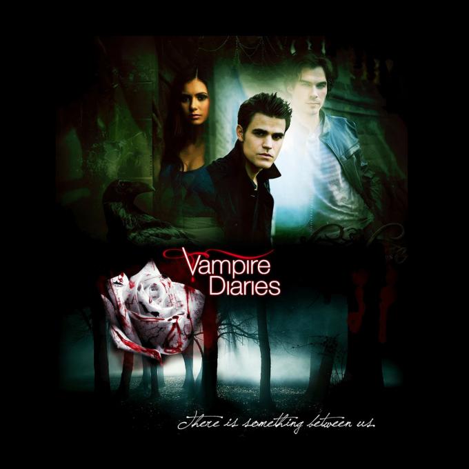 Camiseta chica The Vampire Diaries. Crónicas vampíricas