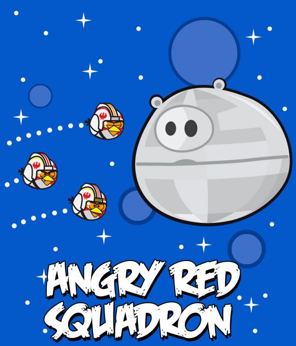Camiseta niño Angry Birds