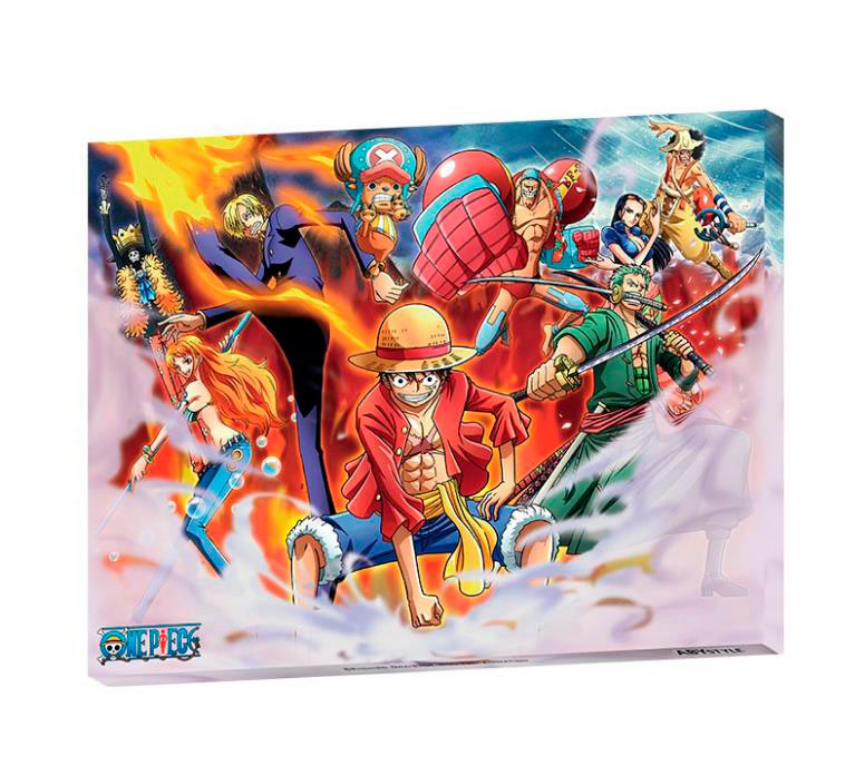 Canvas One Piece