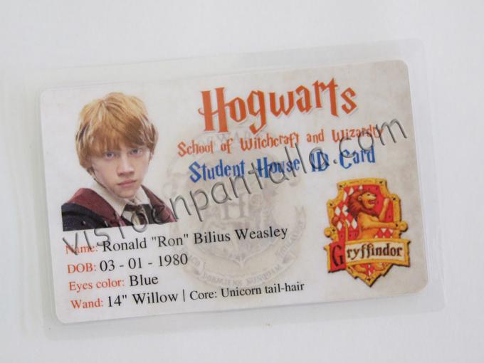Carnet de estudiante Harry Potter. Colegio Hogwarts