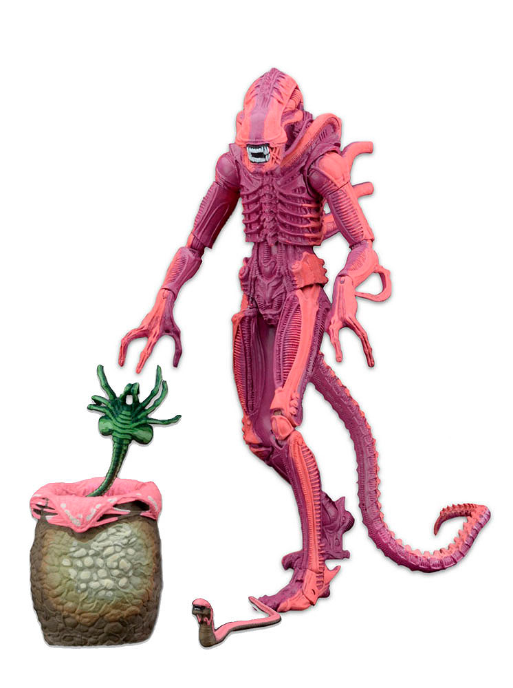Figura Xenomorph Warrior 23 cm. Alien