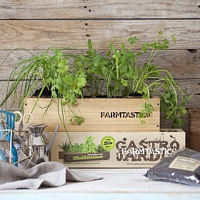 Kit de cultivo ecológico FARMTASTICO aromáticas del Mediterráneo.