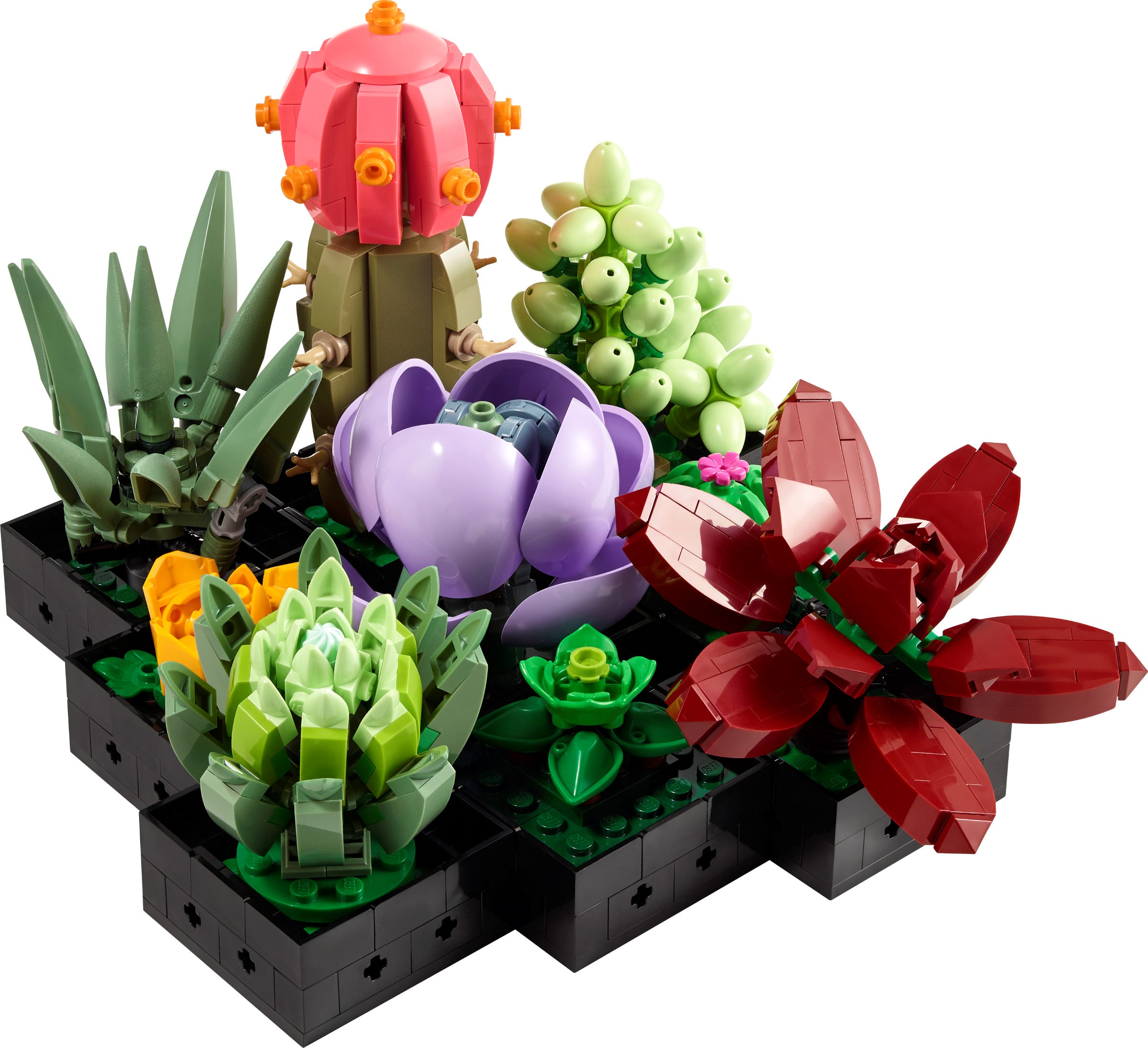 LEGO LEGO® Icons - Suculentas