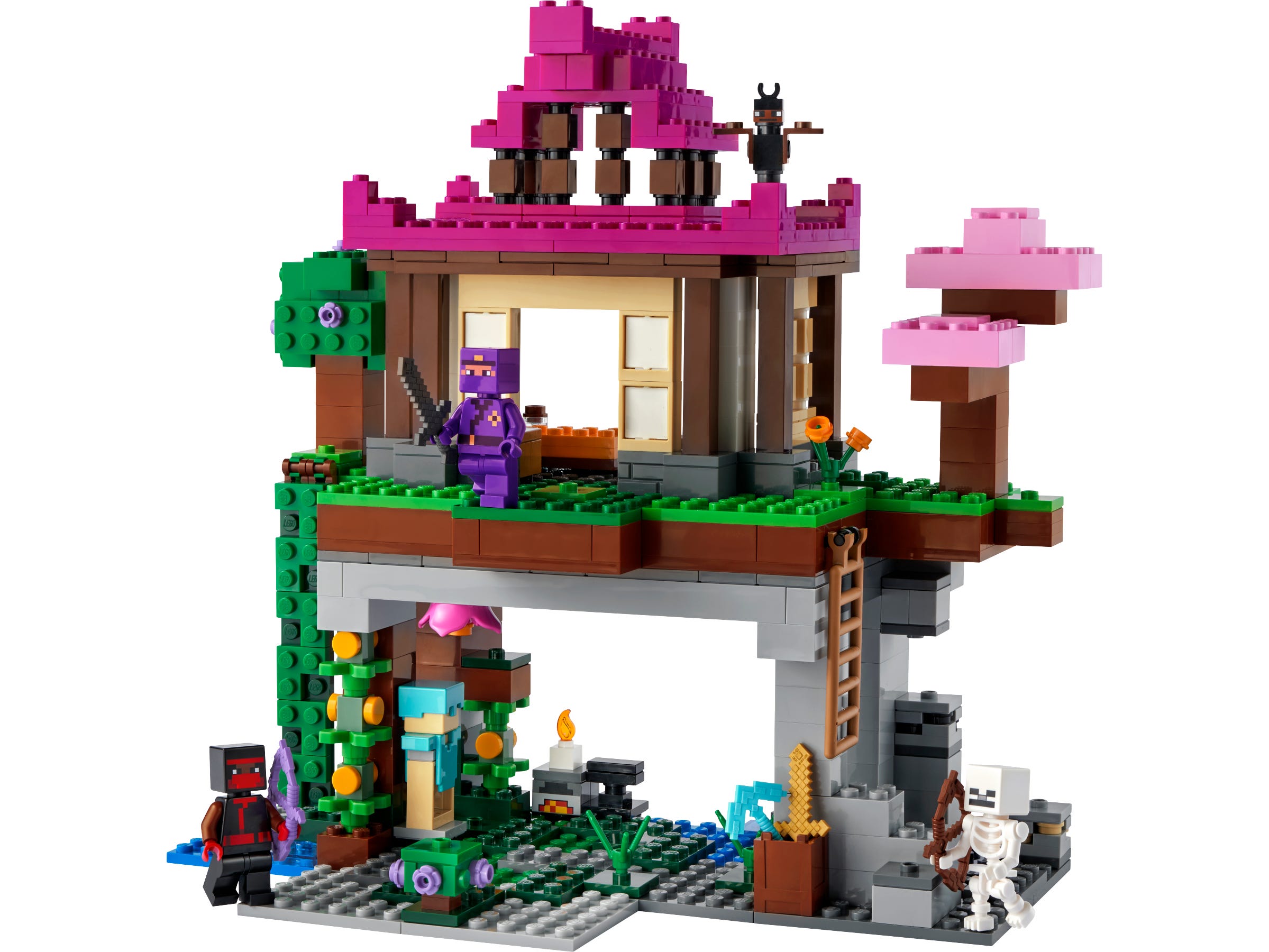 LEGO Minecraft® - El Campo de Entrenamiento