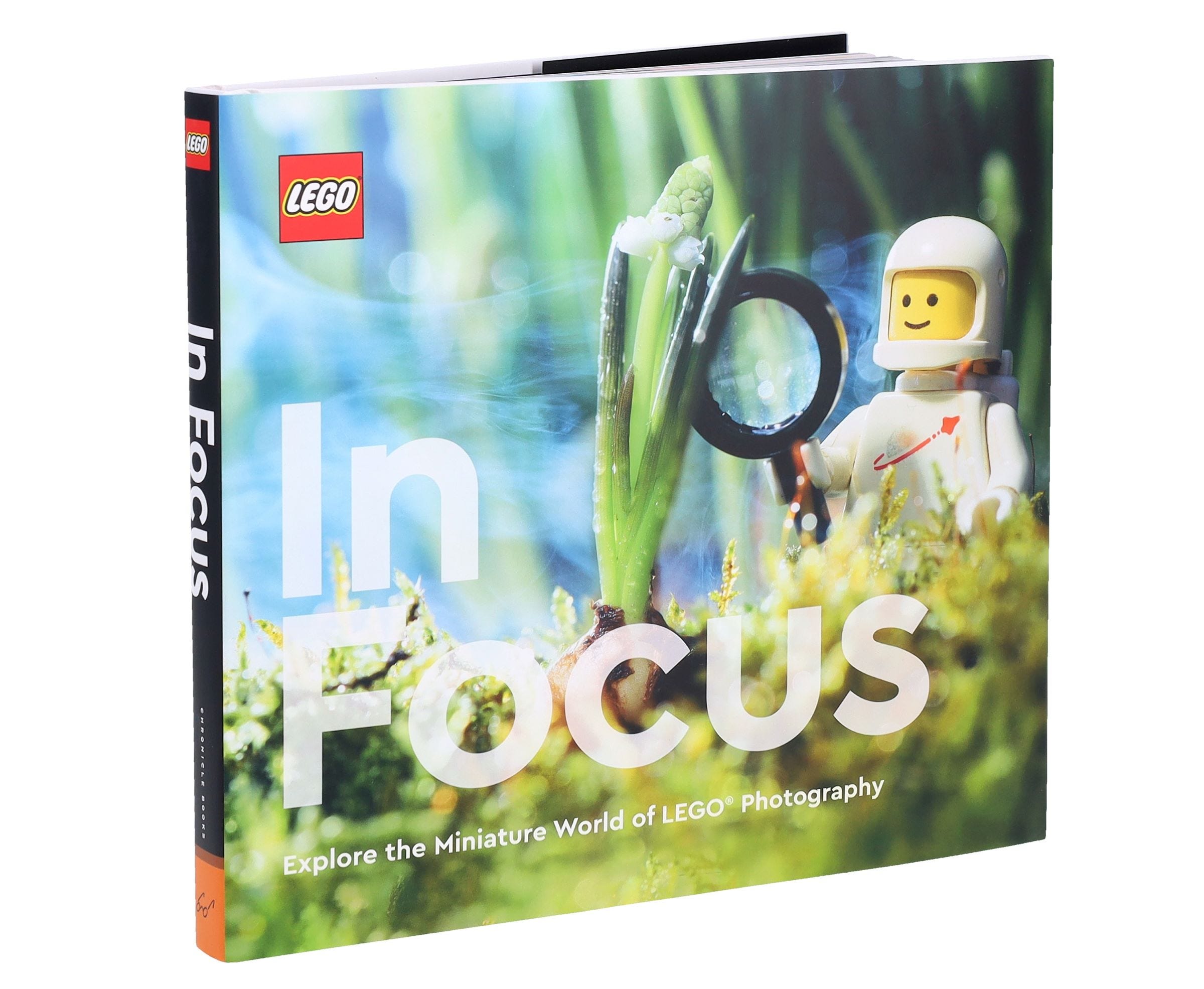LEGO Minifiguras - In Focus