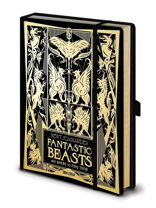 Libreta A5 Fantastic Beasts 14