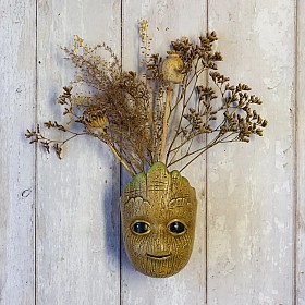 Macetero de Groot para la pared