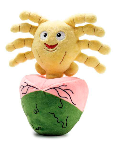 Peluche Facehugger Egg 16 cm. Alien: Covenant. Kidrobot