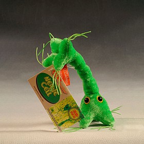 Peluche original célula nerviosa
