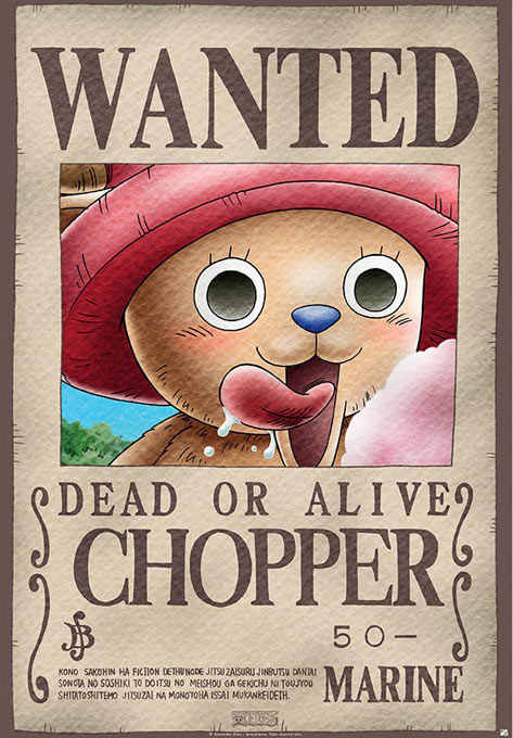 Poster One Piece