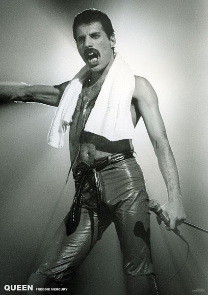 Póster Freddie Mercury. Queen