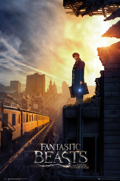 Póster Newt Scamander