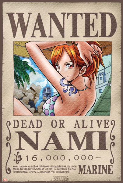 Póster One Piece. Nami