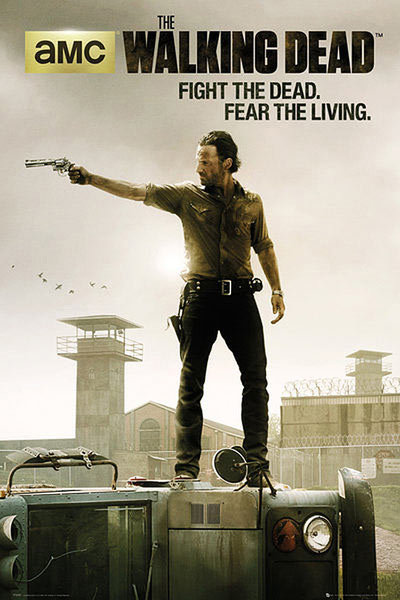 Póster The Walking Dead. Rick Grimes