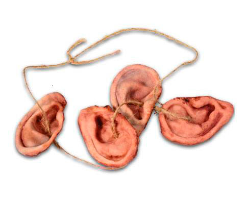 Réplica Daryl's Walker Ear Necklace. The Walking Dead. Escala 1:1